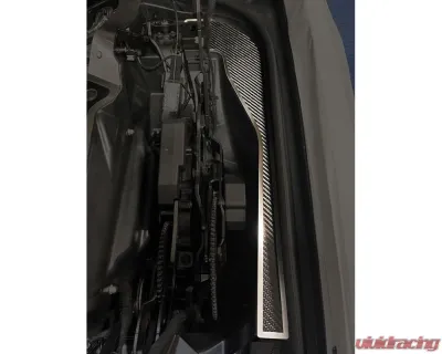 American Car Craft Carbon Fiber Hinge Dress-Up Plates w/Brushed Trim Chevrolet Corvette C8 HTC 2020-2024 - ACC-883214