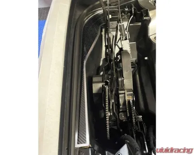 American Car Craft Carbon Fiber Hinge Dress-Up Plates w/Brushed Trim Chevrolet Corvette C8 HTC 2020-2024 - ACC-883214