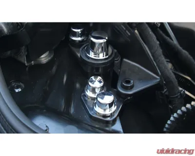 American Car Craft Stainless Steel Hinge Dress-up Bolt and Nut Kit Chevrolet Corvette C8 HTC 2020-2024 - ACC-883216