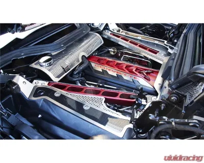 American Car Craft Engine Frame Rail Covers with Brushed Trim Carbon Fiber Chevrolet Corvette C8 2020-2024 - ACC-883206