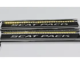 American Car Craft Carbon Fiber Polished Front Door Sills w/ 
