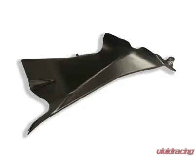 Ilmberger Airtube Covers Left Carbon - Ducati 1199|899 Panigale - WAL.013.D1199.K
