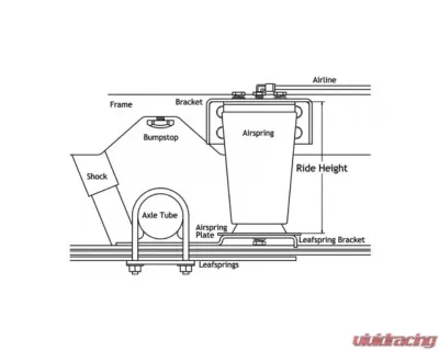Ridetech 2"-2.5" Wide Leaf Spring Air Over Leaf w/ 3000 Lb Capacity Under Frame - 19003004