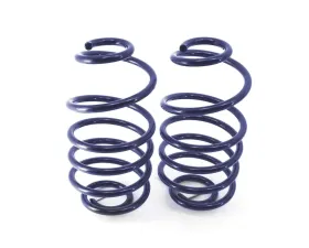 Ridetech StreetGRIP Rear Dual-Rate Coil Springs Pair GM A-Body 1968-1972