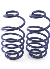 Ridetech StreetGRIP Rear Dual-Rate Coil Springs Pair GM A-Body 1968-1972                                     - 11244799 - Image 2