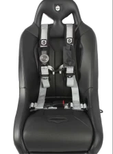 Pro Armor Silver 4 Point 2 Inch AutoStyle Harness (Passenger Side)                                     - A16UH349SV - Image 2