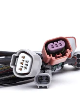 COBB Tuning Previous Ethanol Sensor Kit to NexGen Flex Fuel Ethanol Sensor Kit Upgrade (Module + Harness Only) Subaru 2008-2021                                     - 315670 - Image 3