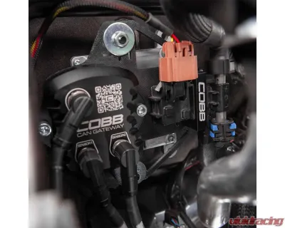 COBB Tuning CAN Flex Fuel Upgrade Subaru Ascent | Outback | Legacy 2023-2025 - 346625