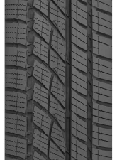 Toyo Celsius II Tire 225/55R19 99V                                     - 243970 - Image 3