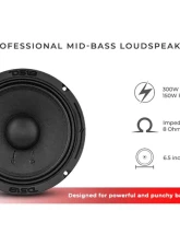 DS18 6.5" Mid-Bass Loudspeaker 150 Watts Rms 8-Ohm                                     - 6PRO300MB-8 - Image 8