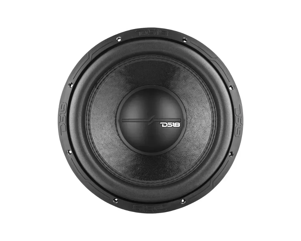DS18 1400 Watts DVC 2-Ohm 10" Subwoofer - ZR10.2D