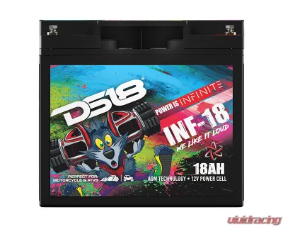 DS18 INFINITE 750 Watts 18 AH AGM Power Cell Battery - INF-18AH