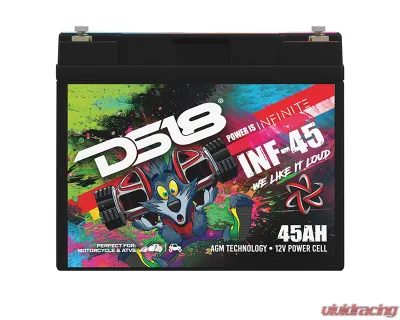 DS18 INFINITE 45 AH AGM Power Cell Battery - INF-45AH