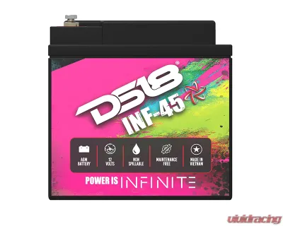 DS18 INFINITE 45 AH AGM Power Cell Battery - INF-45AH