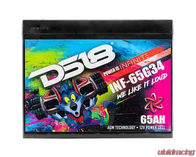 DS18 INFINITE 65 AH 2000 Watts AGM Group 34 Power Cell 12 Volt Battery - INF-65G34AH