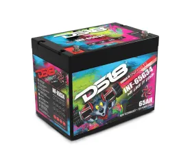 DS18 INFINITE 65 AH 2000 Watts AGM Group 34 Power Cell 12 Volt Battery