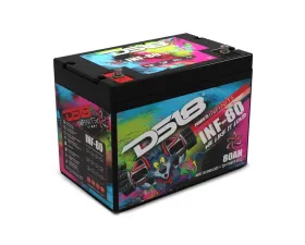 DS18 INFINITE 80 AH 2300 Watts AGM Power Cell 12 Volt Battery