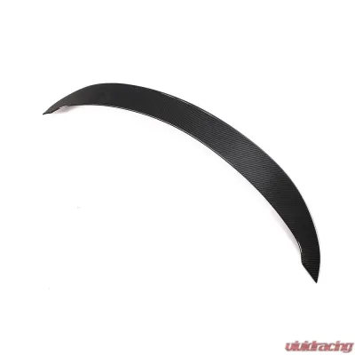 VR Aero Carbon Fiber Rear Trunk Spoiler Mercedes SLS AMG C197 2010-2014 - VR-C197SLSAMG-611