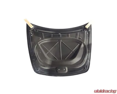 VR Aero Carbon Fiber Hood Tesla Model 3 - VR-TSLA3-625