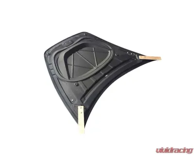 VR Aero Carbon Fiber Hood Tesla Model 3 - VR-TSLA3-625