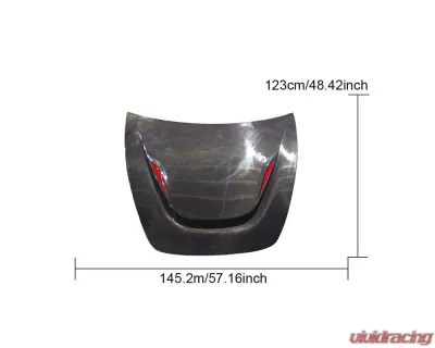 VR Aero Carbon Fiber Hood Tesla Model 3 - VR-TSLA3-625