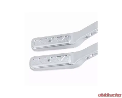 Ringbrothers Trunk Hinge Kit - Fiberglass - Natural Chevrolet Camaro 1967-1969 - 18032 NF