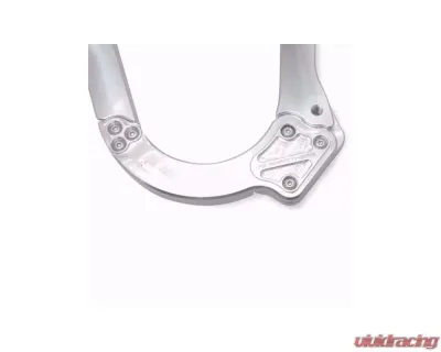 Ringbrothers Trunk Hinge Kit - Fiberglass - Natural Dodge Charger 1965-1970 - 18072 NF
