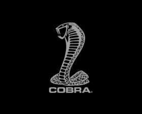Fender Gripper Cobra Snake Mat