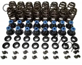 CNC Fabrication Stage 2 Bee Hive Valve Spring Kit No Valve Seals or Shims Ford Powerstroke 7.3L 1994.5-2003