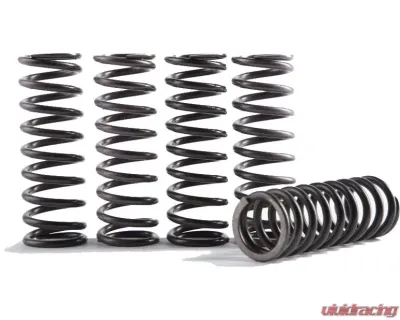 Hinson 5 Hi-Temp Clutch Springs Kit CS216-5-0315 - CS216-5-0315