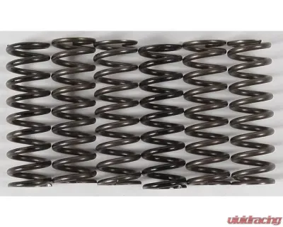 Hinson 6 Hi-Temp Clutch Springs Kit Yamaha 1993-2019 - CS216-6-0315