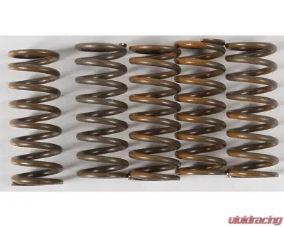 Hinson 5 Hi-Temp Clutch Springs Kit Kawasaki KX450 | KLX450R | KFX450R 2006-2019 - CS264-5-0409