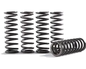 Hinson 4 Hi-Temp Clutch Springs Kit CS290-4-0710
