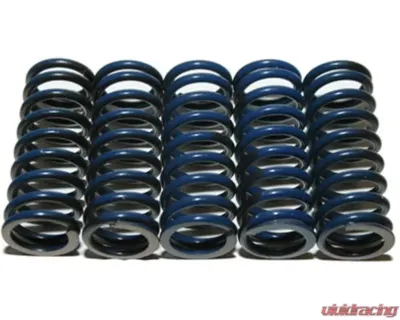 Hinson 5 Hi-Temp Clutch Springs Kit Honda | KTM | Husqvarna 1993-2018 - CS294-5-0109