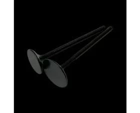 Brian Crower 33mm Intake w/Black Nitride Finish Valves Honda | Acura B18C | B16A | B17A