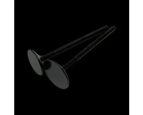 Brian Crower 28mm Exhaust w/Black Nitride Finish Valves Honda | Acura B18C | B16A | B17A