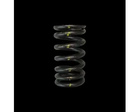 Brian Crower Single Valve Spring Toyota 1ZZ/1NZ