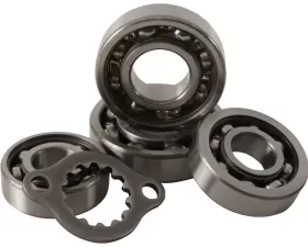Hot Rods Transmission Bearing Kit  TBK0012