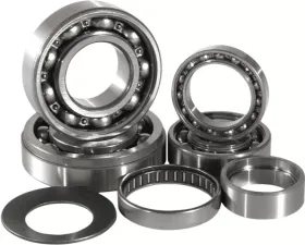 Hot Rods Transmission Bearing Kit  TBK0019