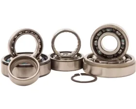Hot Rods Transmission Bearing Kit  TBK0058