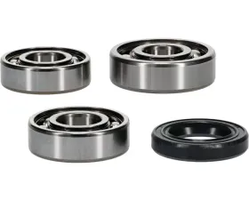 Hot Rods Counter Balancer Kit Polaris RZR 170 2009-2020