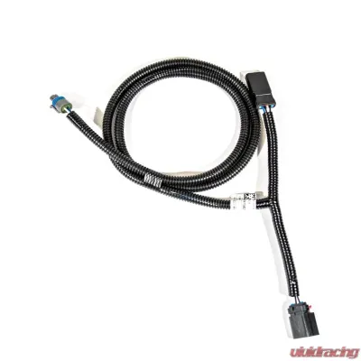 VMP Performance IAT Breakout Harness (Brass GM Style) Coyote 5.0L Supercharged 2015+ - VMP-INM033