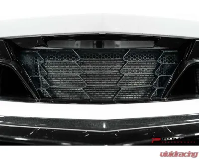 Paragon Performance OEM Style Radiator Guards | Grill Guards Chevrolet C8 Corvette E-Ray | Z06 2023-2025 - PP-G0003