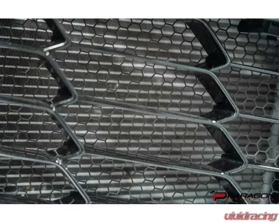Paragon Performance OEM Style Radiator Guards | Grill Guards Chevrolet C8 Corvette E-Ray | Z06 2023-2025 - PP-G0003
