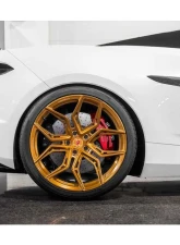 Paragon Performance 1" Hyperco Lowering Spring Chevrolet C8 Corvette Z06 2023-2024                                     - PP-S0003 - Image 4