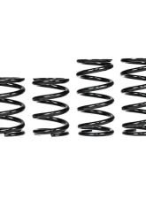 Paragon Performance 1" Hyperco Lowering Spring Chevrolet C8 Corvette Z06 2023-2024                                     - PP-S0003 - Image 9
