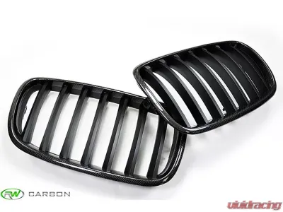 RW Carbon Fiber Grilles BMW E70 X5 | E71 X6 2007-2014 - bmwe70x501