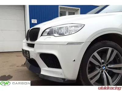 RW Carbon Fiber Grilles BMW E70 X5 | E71 X6 2007-2014 - bmwe70x501
