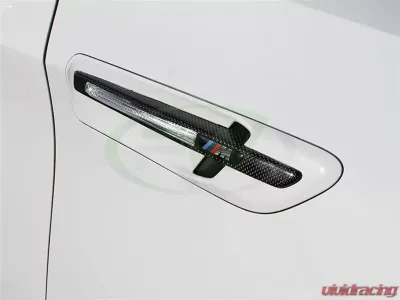 RW Carbon Fiber Fender Grilles BMW X6M E71 2008-2014 - bmwe71x602