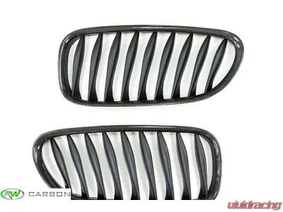 RW Carbon Fiber Grilles BMW Z4 E85 | E86 2003-2008 - bmwe85002